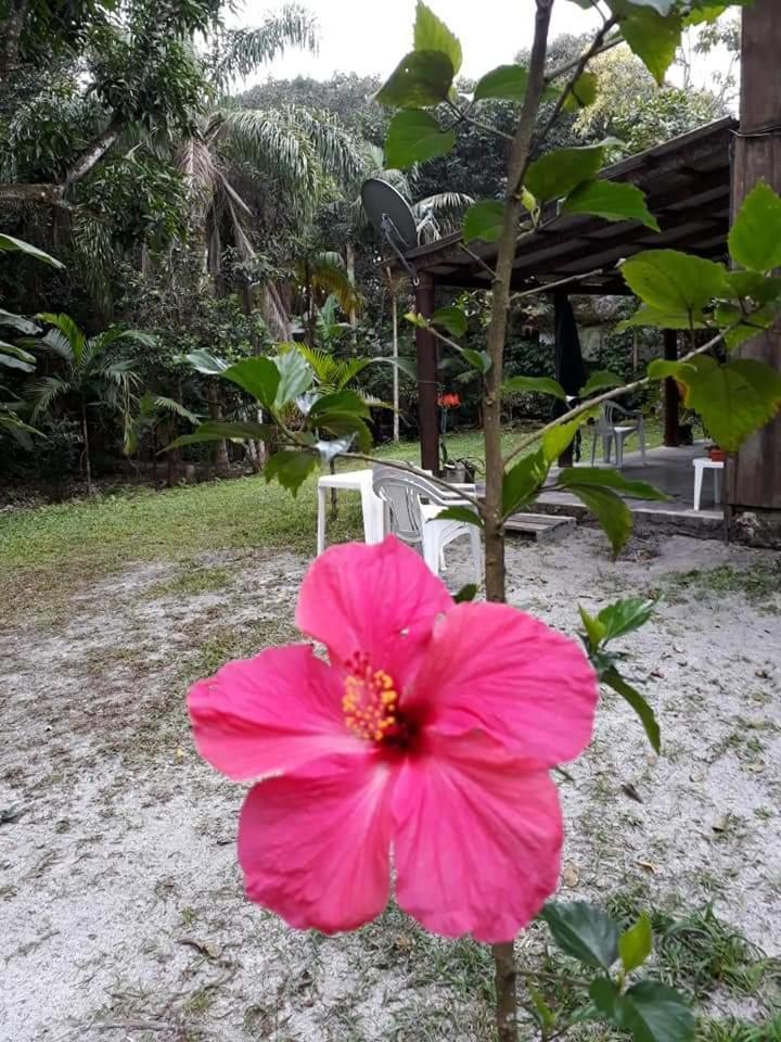 Recanto da Kaká Ilha do Mel Exterior foto